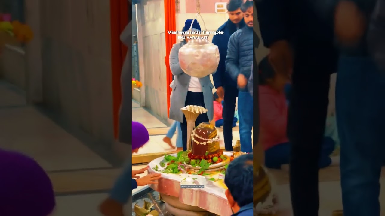 Banaras Hindu University🌷|| Vishwanath temple 🫶🏻❤️✨|| 