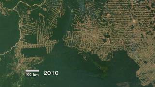 Amazon Deforestation in Rondônia, Brazil (2000-2010) [720p]