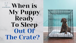 When is My Puppy Ready To Sleep Out Of The Crate?