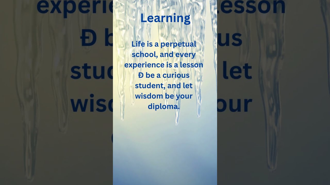 Brain's Role in Emotion Regulation 