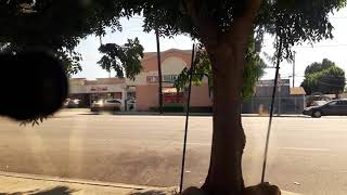 LAFD ENGINE 107 Responding