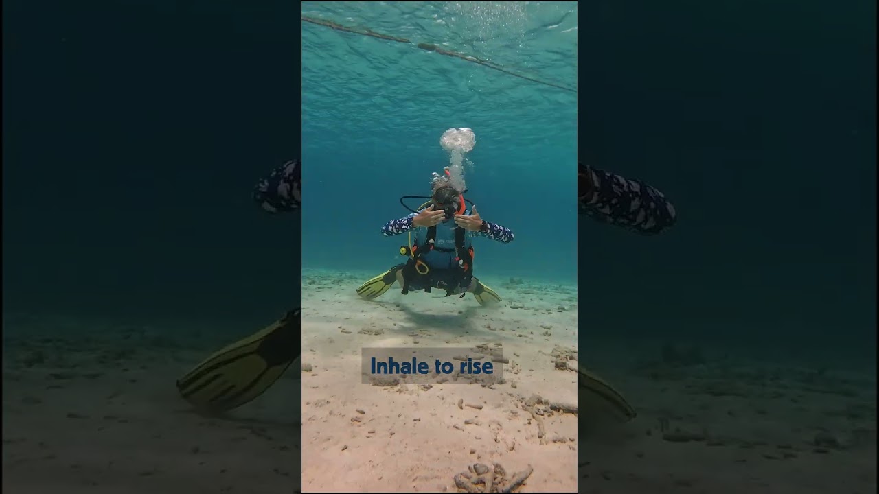 Scuba skill Fin pivot | 