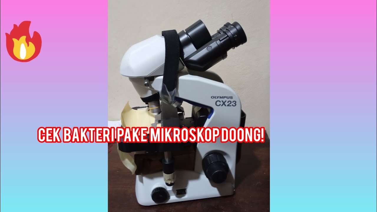 mikroskop olympus cx23