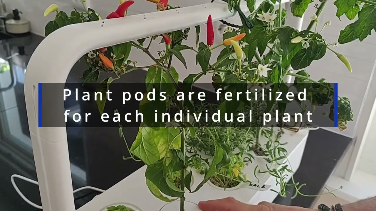 Smart Garden 9 Summary Update: An easy-to-use, practical, quiet and stylish Indoor Gardening System