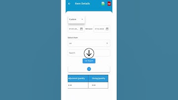 Export Item Detail Report in Excel/PDF | Raseed Billing Software #raseedapp