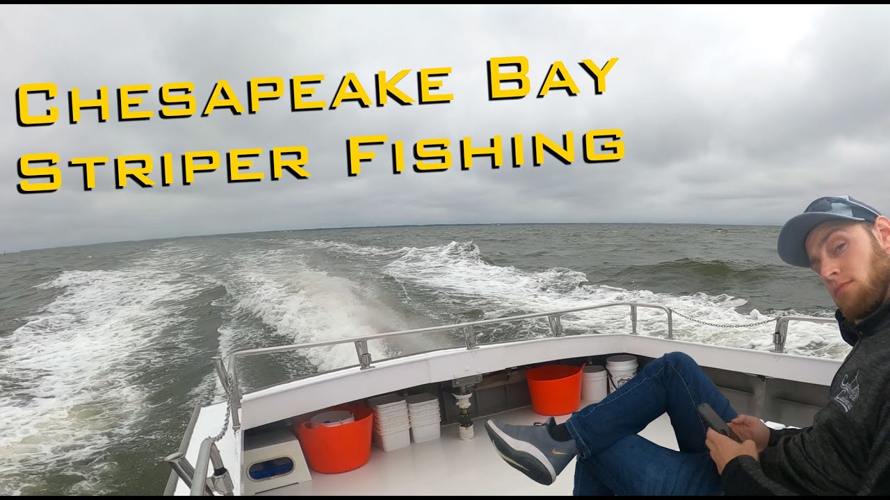 2023 Chesapeake Bay Striper Fishing YouTube