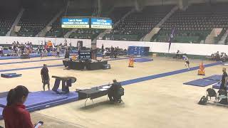 First meet of 2023 - Level 9 men’s gymnastics - Iron Man - vault