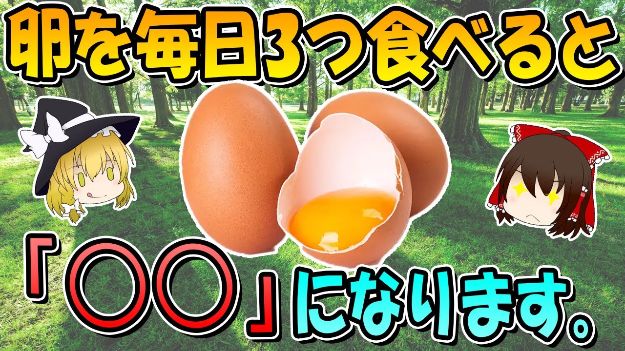 【一日何個まで？】毎日たまごを3つ食べるとこうなります！