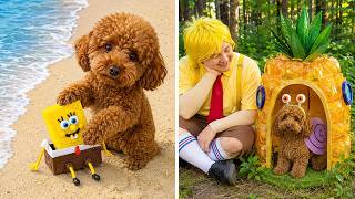 Omg! Sponge Bob Went Camping Irl?! 😱🏕️ Easy Hacks & Fun Diy Adventures