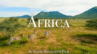 Africa 4K - Scenic Relaxation Film With Cinematic Fpv