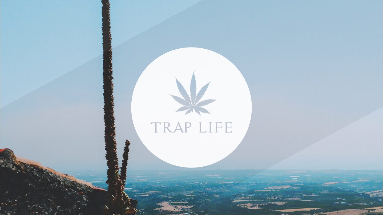 Coyote Kisses - Illusion (Take/Five Remix)