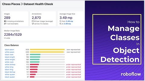 How to Manage Classes in Object Detection (Rename, Combine, Balance)