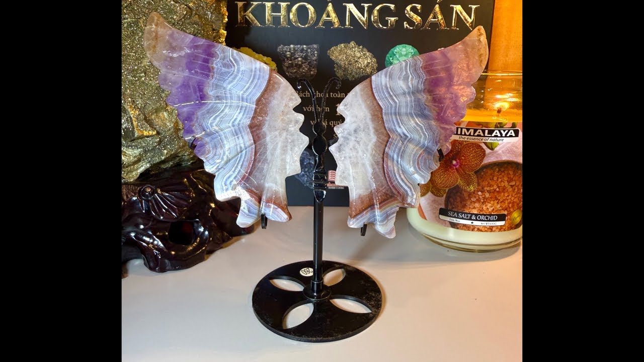 Hành động tiếp theo của Họ 💜