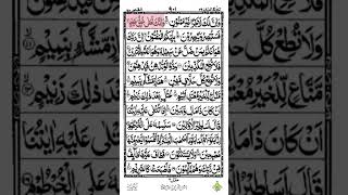 Surah Al-Qalam Ayat 68:4 with Urdu Translation | Quran Recitation by Taj Company ! #shortsfeed