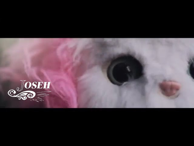 Joseh - City Lights - Official Music Video