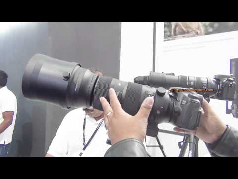 Sigma 150-600mm f/5-6.3 DG OS HSM Sports Review: Exclusive Hands-on with Image samples