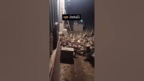 npm install | Ducks = New Dependencies | #developer #programming #memes