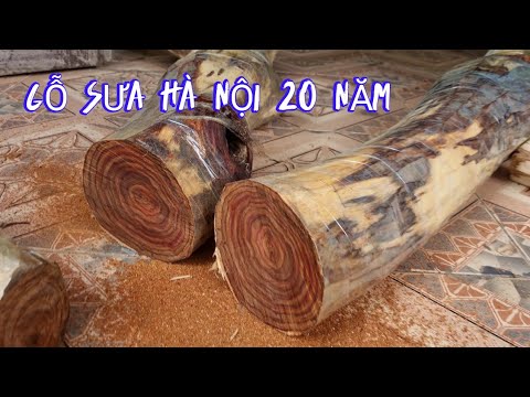 Video Giao Lưu Gỗ Sưa Hà Nội Chất Gỗ Vân Gỗ Đẹp - Đk 13, 14... - youtube