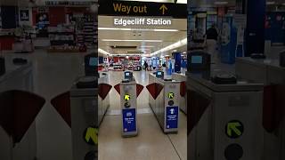 Edgecliff Station | Sydney Australia