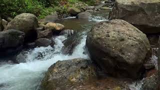 Flowing river breeze from West Java for soothing rest, deep focus, and tranquil nature ambience