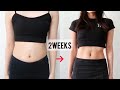 Get Abs In 2 Weeks Lower Belly Fat No Equipment Get Abs In 2 Weeks Lower Belly Fat No Equipment