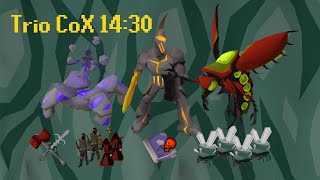 Trio 14:30 Chambers of Xeric Grandmaster CA Walkthrough