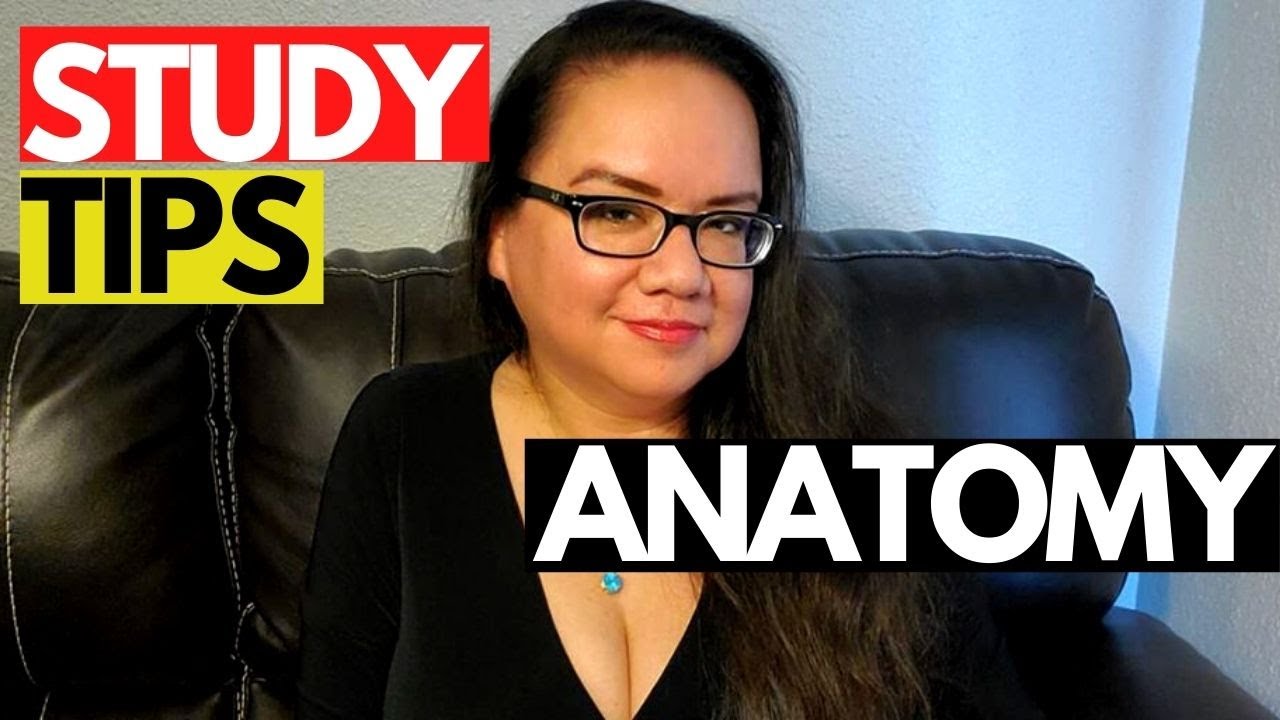study-tips-for-medical-coding-students-anatomy-mneumonic-devices