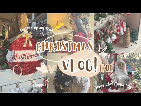 Celebrating Christmas in India🎄✨ Shopping + Huge haul🛍️ Part 1 ||Aesthetic vlog||🧁