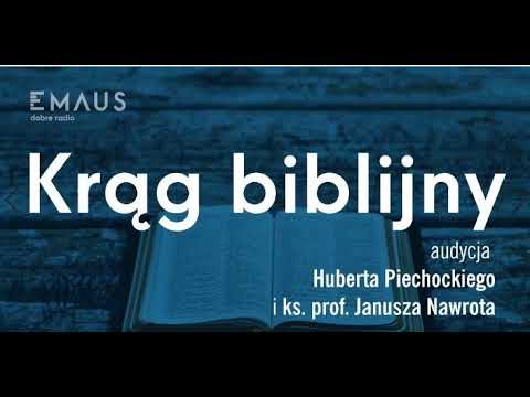 Wideo: Katedra, w której żyją gęsi