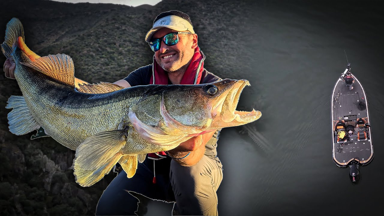 Legendre , traque des Sandres géants