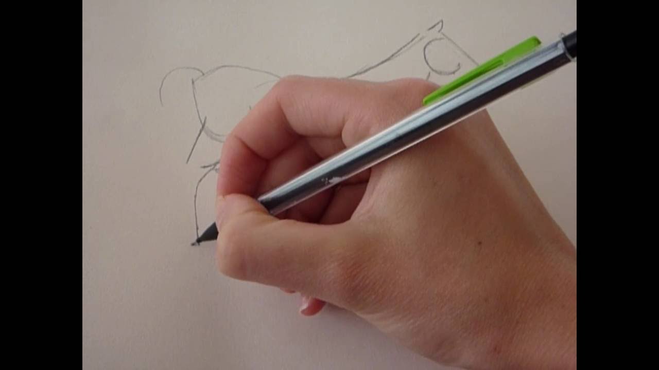 How to draw an American Saddle Horse Part 1 - YouTube
