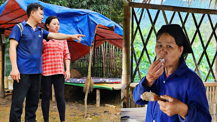 Mother-in-law on the run from sin - Will the police find her?