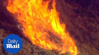 Bluecut fire torches over 30,000 acres and forces evacuations - Daily Mail