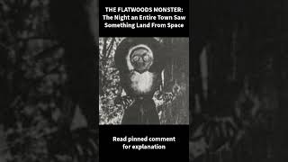 THE FLATWOODS MONSTER: The Night an Entire Town Saw Something Land From Space