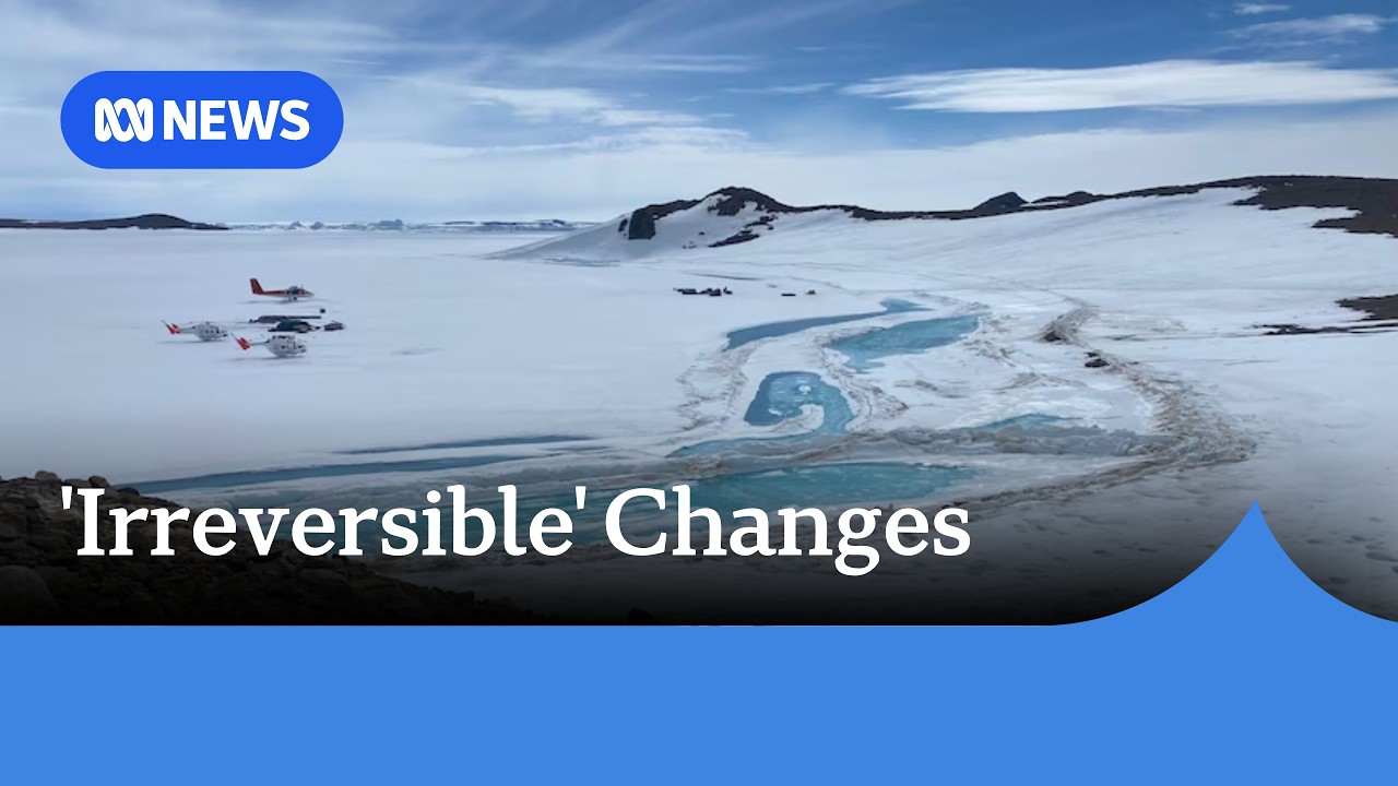 Scientists warn of 'abrupt changes' taking place in Antarctica | ABC NEWS