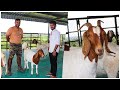 100 बोअर शेळ्यांचा कपिला गोट फार्म & शेळी पालन यशस्वी कसे करावे ! biggest boar goat farm in Pune #1