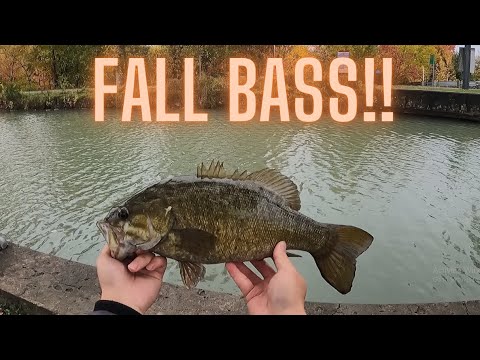 Finesse Fishing for Fall Big Bass!!! (Cast to Catch)