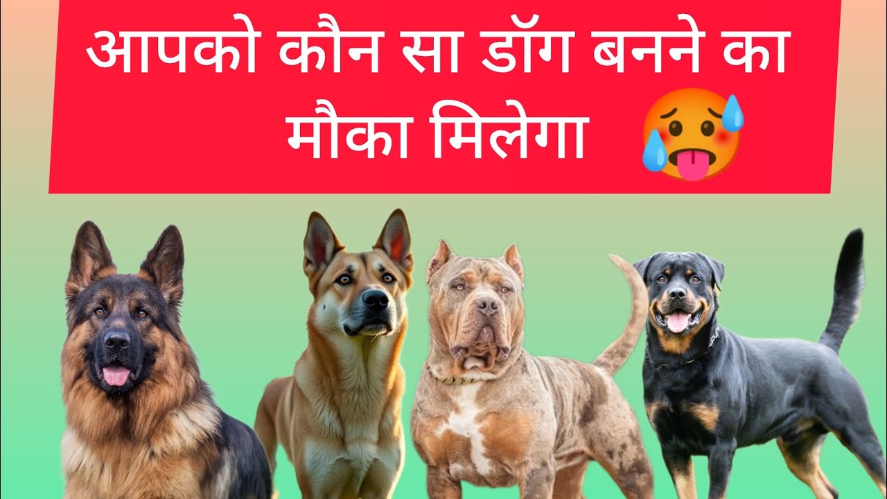 apke birthday months ke according apko konse dog banne ka moka milega 