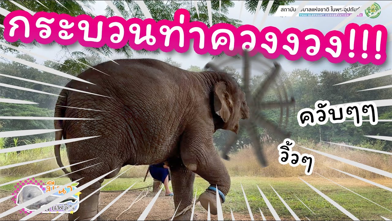 มีนา พาเพลิน 14 ธันวาคม 2567 และแล้ววันนี้น้องก็สำเร็จวิชา 