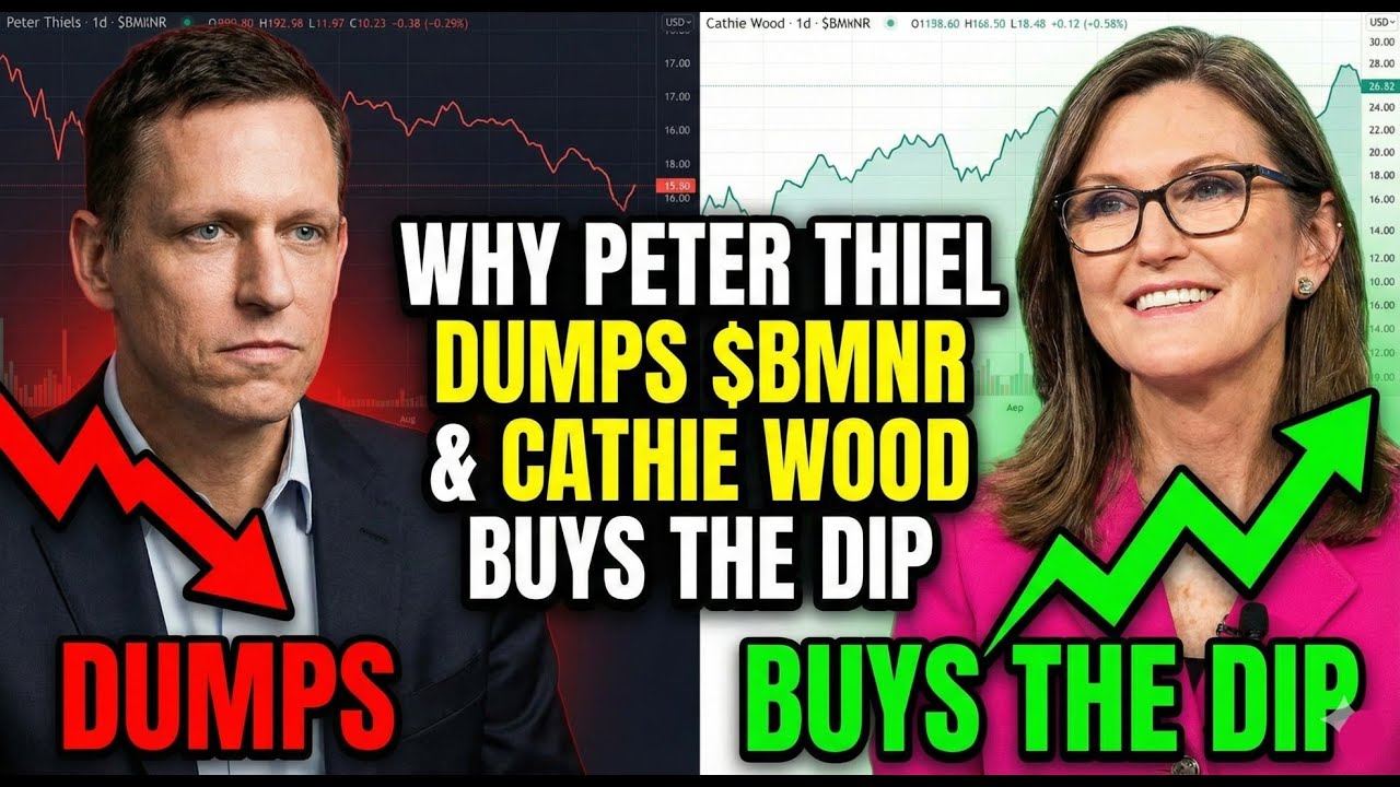 Питер Тиль избавляется от $BMNR? Почему Кэти Вуд скупает всё подряд
