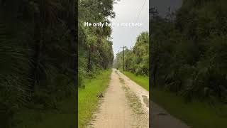 Celebrity Hunting Pythons on a Bike #nature #florida #wildlife #wildanimals #python #bears Profile