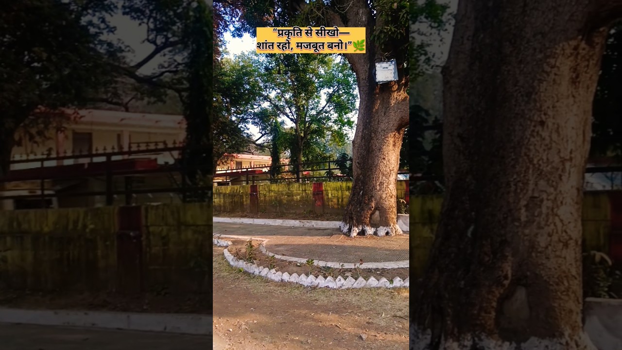 “Just me, nature & good vibes.”🧿😇|| 