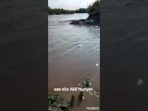 goranboy  kürəkçayı  kurekcay  dunya haqda şeir qemli statuslar  sair akif   şair akif en son şeir