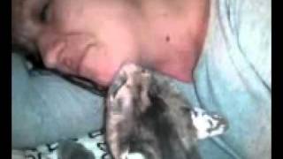 cat kisses 2012
