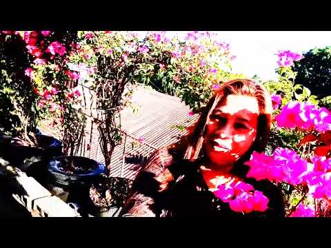 Relaxing Home Gardening Throwback | Plant Lover's Paradise 🌿💚