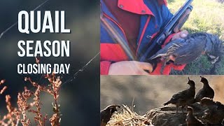 Catch and eat valley quail on this episode! it's the closing weekend
of season we take puppies for a walk at eastman lake. popular public
hu...