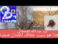 ويا لوف قلبي لوف زرع ن توقف ماه الشاعر عيد عبدالله القحطاني 