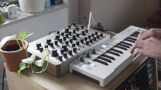 Ambient Live Looping #11 | Majella Audio IMPLEXUS, TC Electronic Ditto