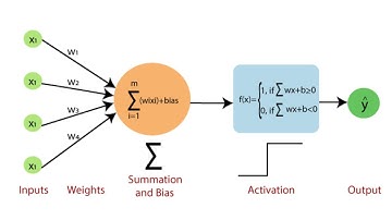 PERCEPTRON - JAVASCRIPT