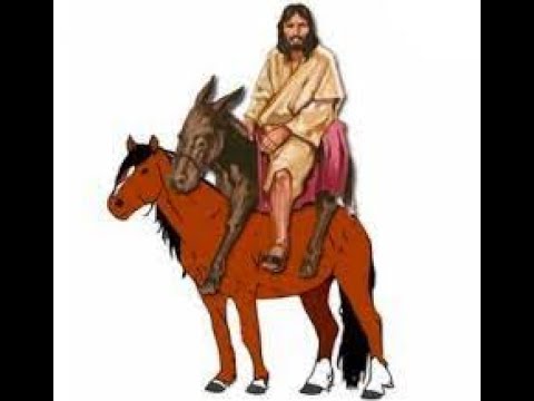 Did Jesus Ride A Donkey, Or A Donkey And A Colt??